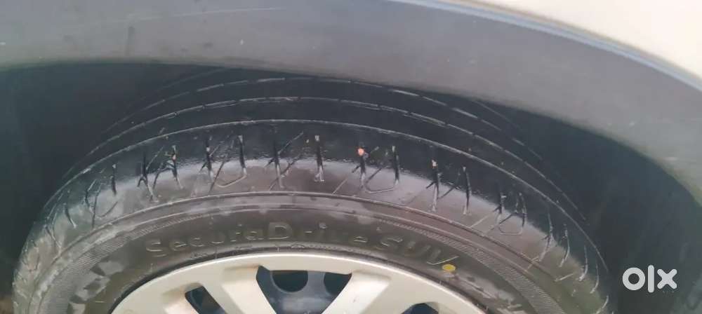A One Condition Bumper To Bumper Orginal