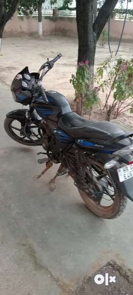 Buy Sell Second Hand Pulsar in Naraingarh Used Bajaj Bikes in Naraingarh OLX