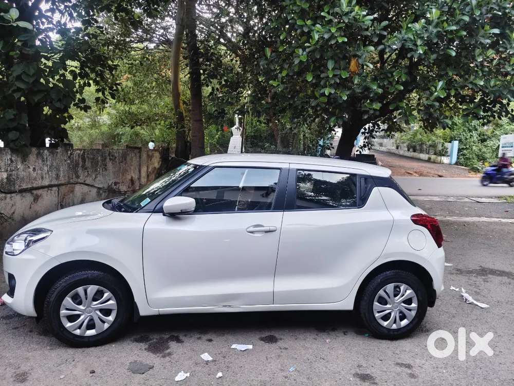 Swift 2024 (2 Year Old)