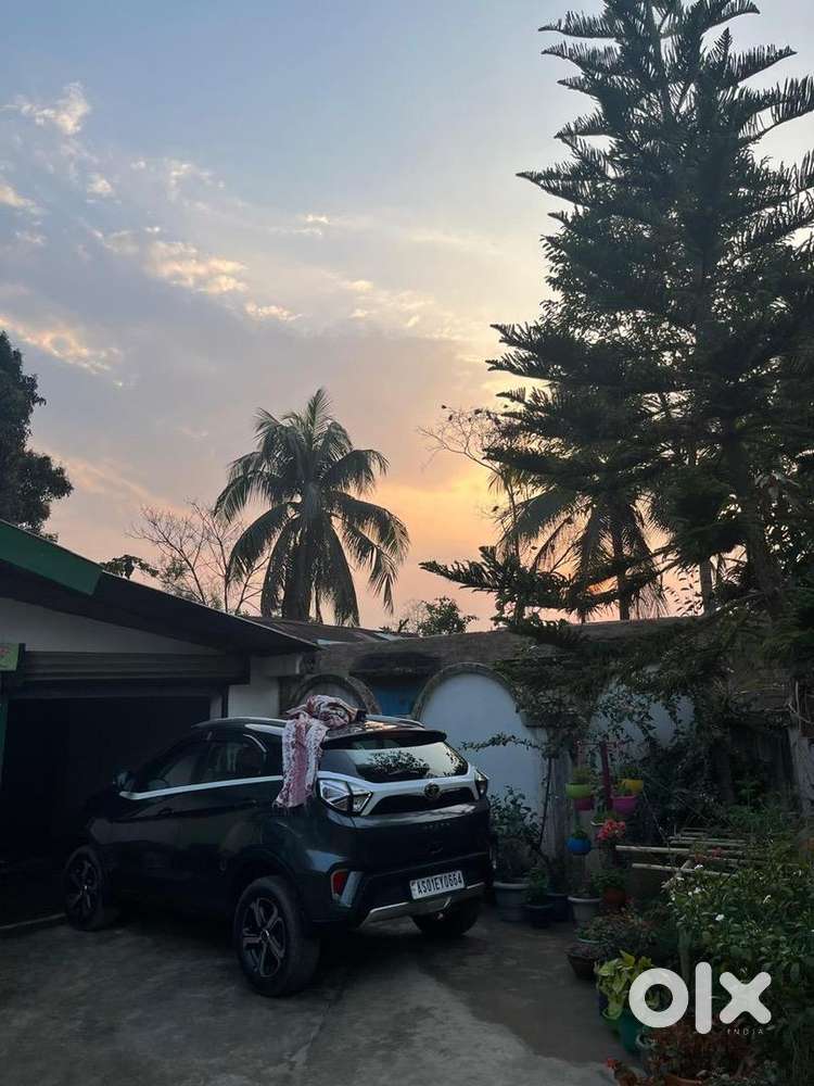 Tata Nexon Petrol Well Maintained