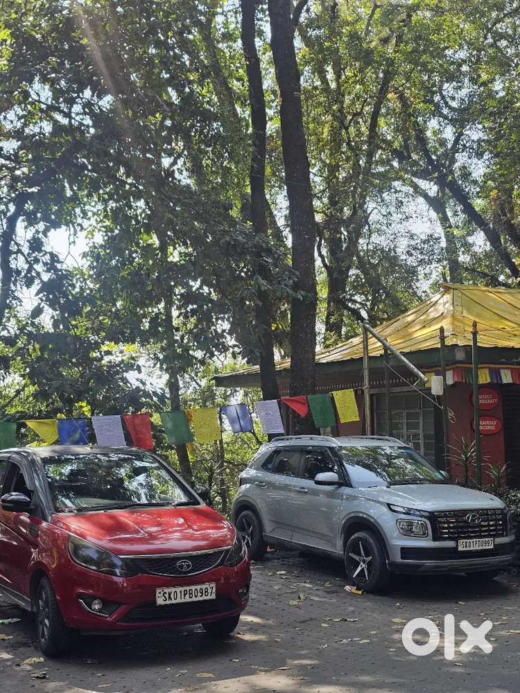 Tata Bolt Xt Revotron, Top Model