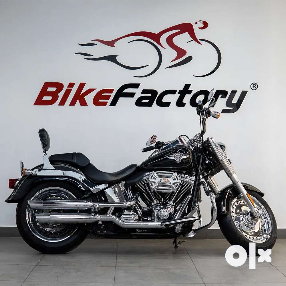 Harley fat hot sale boy olx