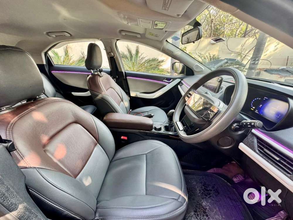 Tata Nexon Creative 2024 Petrol 24000 Km Driven