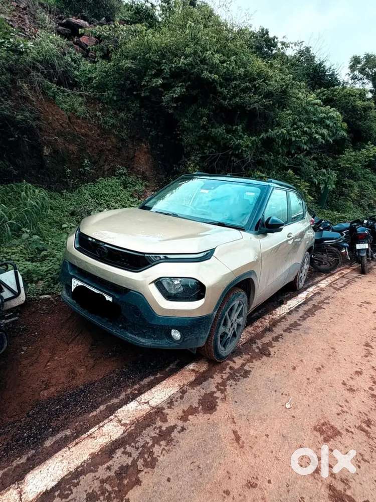 Tata Punch Cng Kaziranga Edition 2022