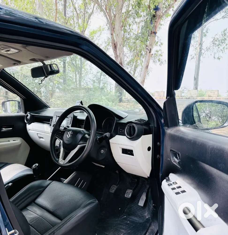 Maruti Suzuki Ignis 2019 Petrol 38000 Km Driven