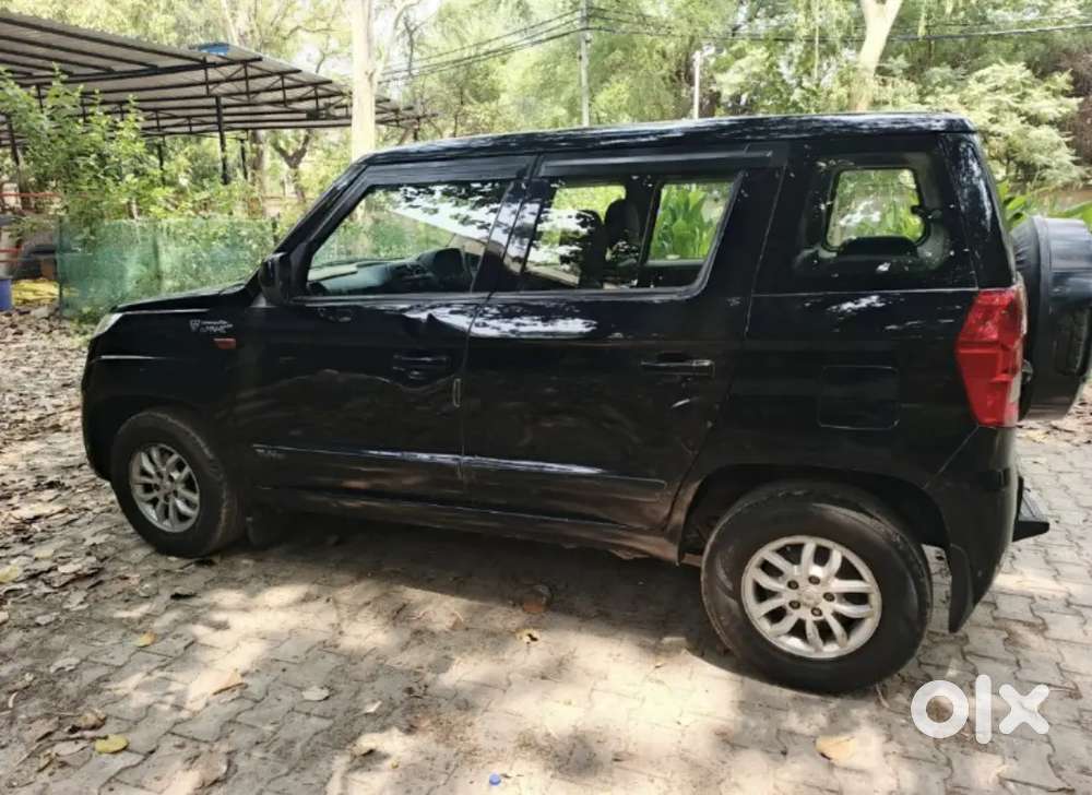 New Condition Koi Kami Nhi