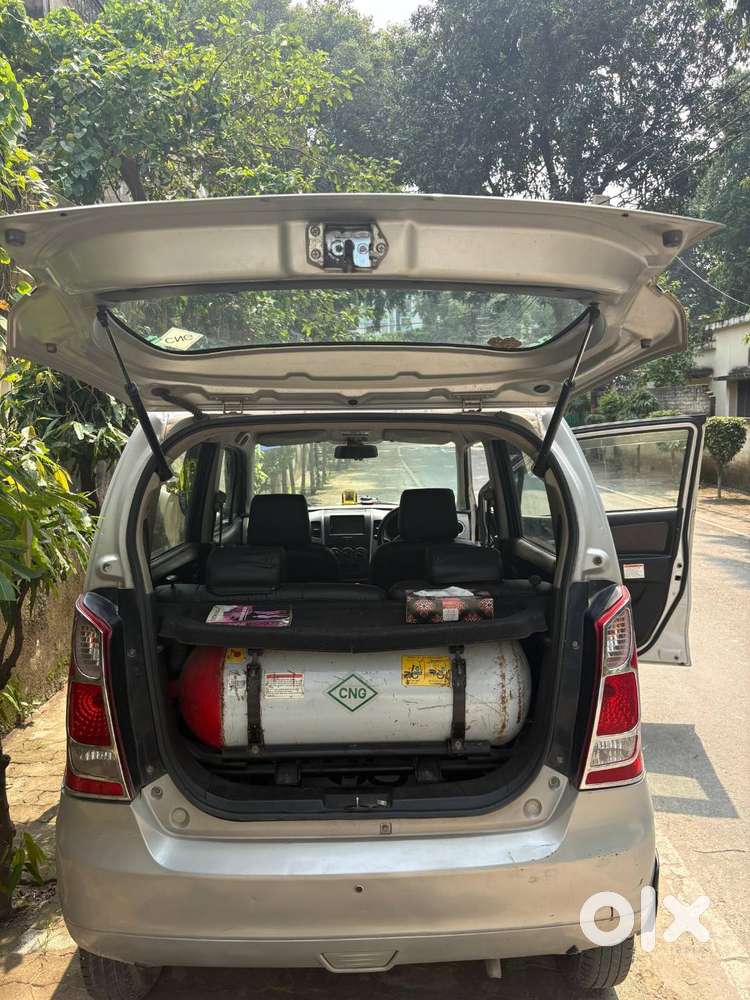 Maruti Suzuki Wagon R 2014 Cng