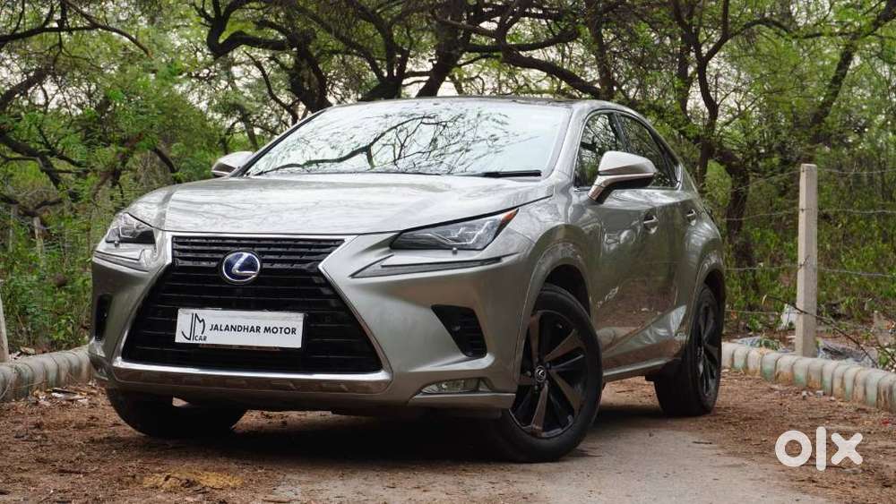 Lexus Nx Lexus-nx-300h-luxury, 2020, Petrol