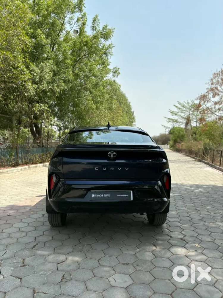 Tata Curvv Petrol Manual 2025 Km Driven