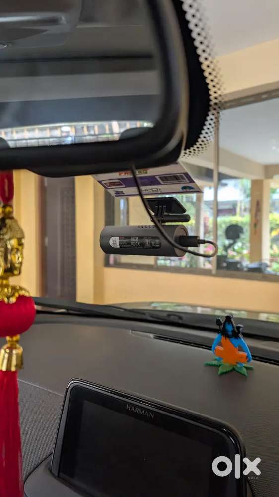 Nexon Xz+, Kaziranga Edition (top Model)