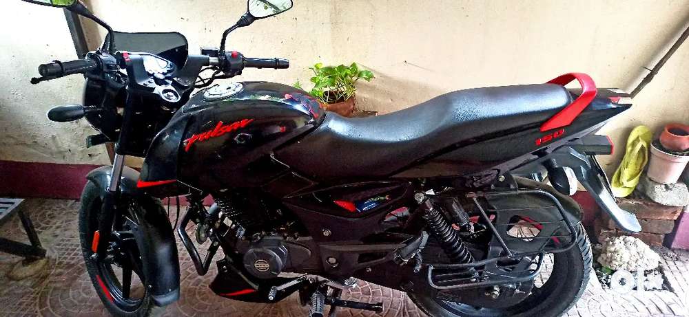 Olx bikes pulsar online 150