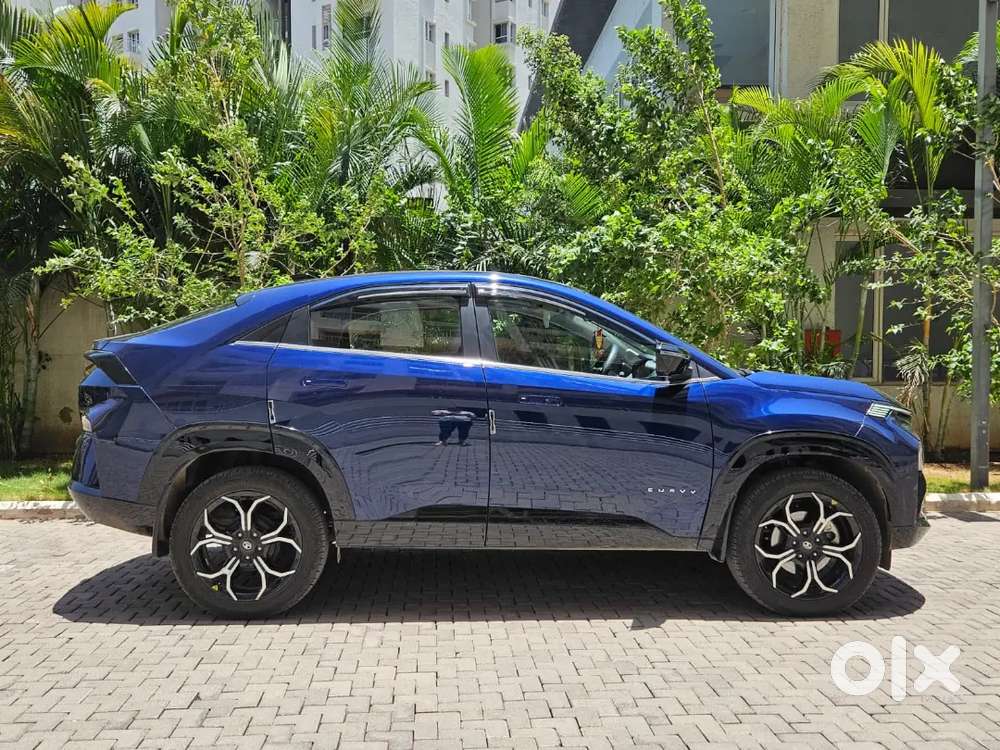 Tata Curvv 2025 Petrol 6000 Km Driven