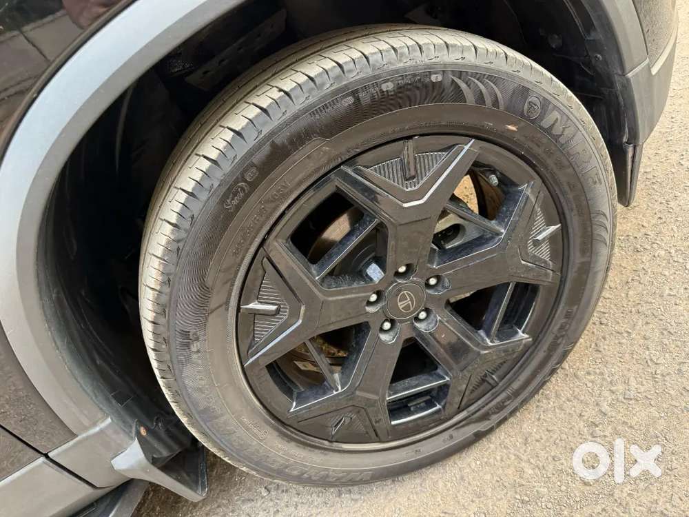 Tata Safari 2024 Diesel 11000 Km Driven