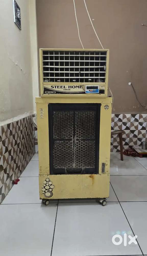 Duck cooler 5 year old