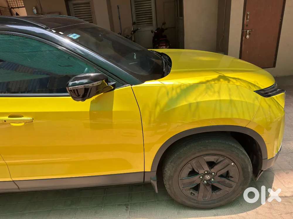 Harrier Adventure Plus Signature Edition