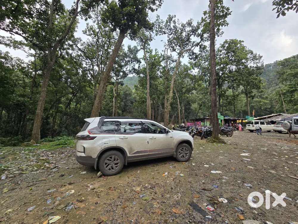 Showroom Condition Fresh Car