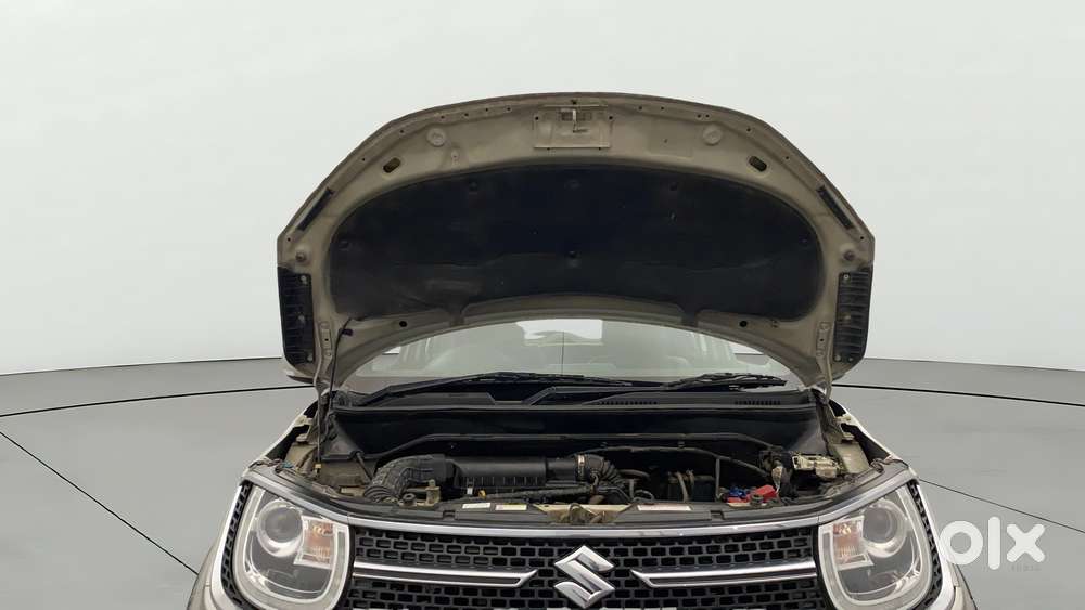 Maruti Suzuki Ignis 1.2 Alpha, 2018, Petrol