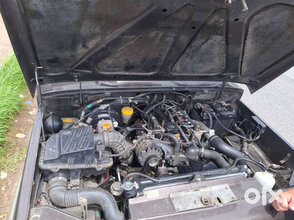 Bolero Storm In Very Good Condition