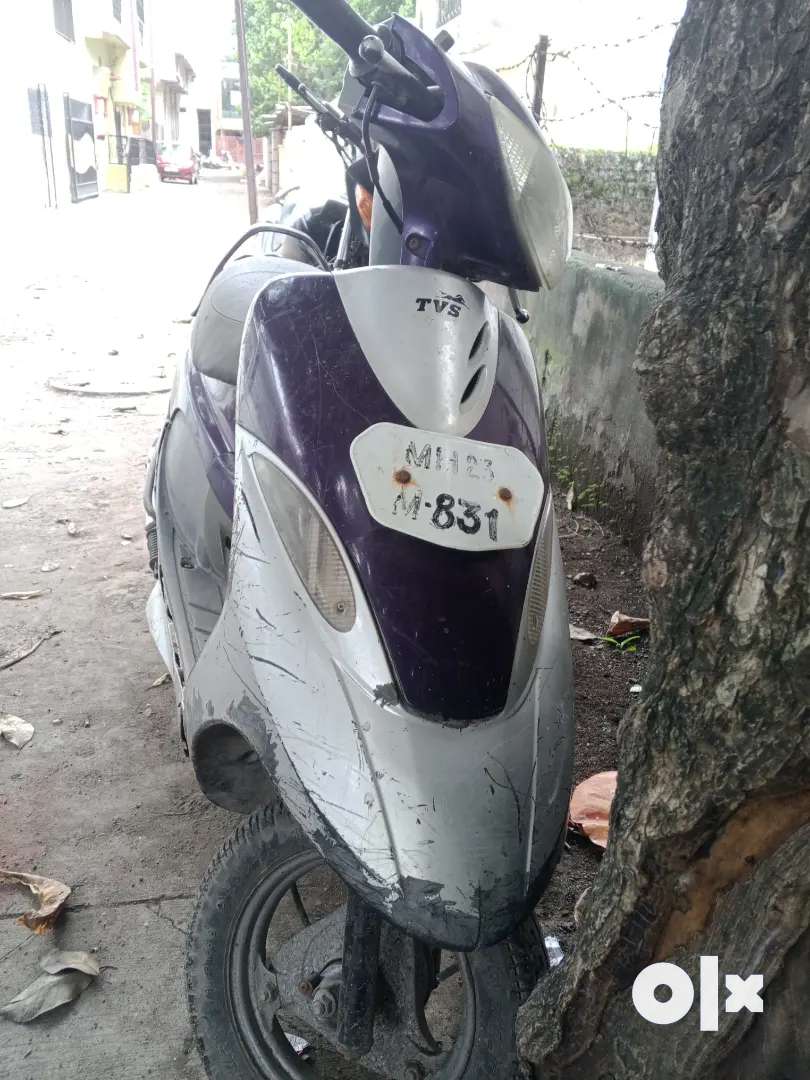 scooty brand