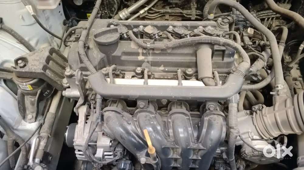 Hyundai Venue 2025 Petrol 5500 Km Driven