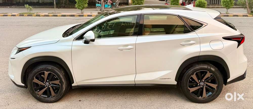 Lexus Nx Lexus-nx-300h-luxury, 2021, Petrol