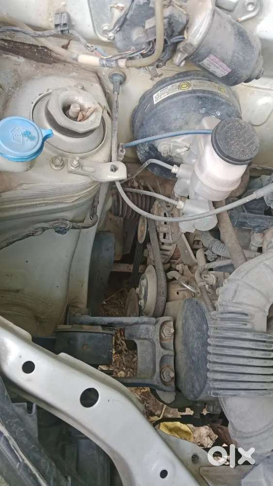 Maruti Suzuki Alto 2014 Model