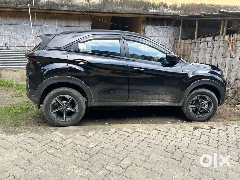 Tata Nexon 2025 Petrol Well Maintained