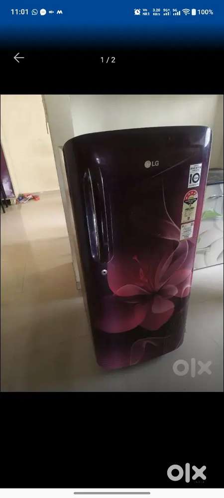 LG 190 LTR FRIDGE Scarlet flower with smart inverter