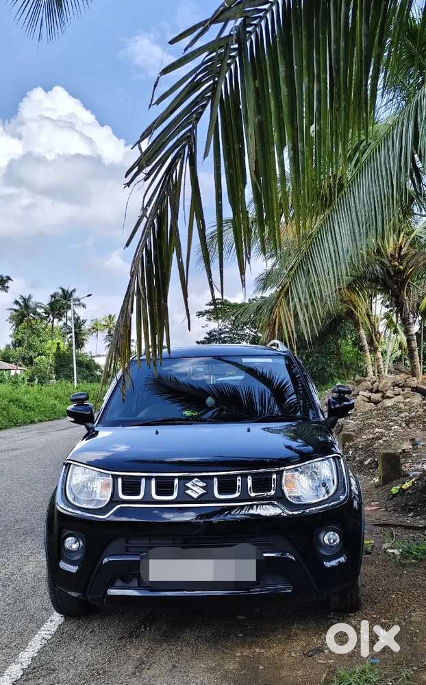 Maruti Suzuki Ignis 2024