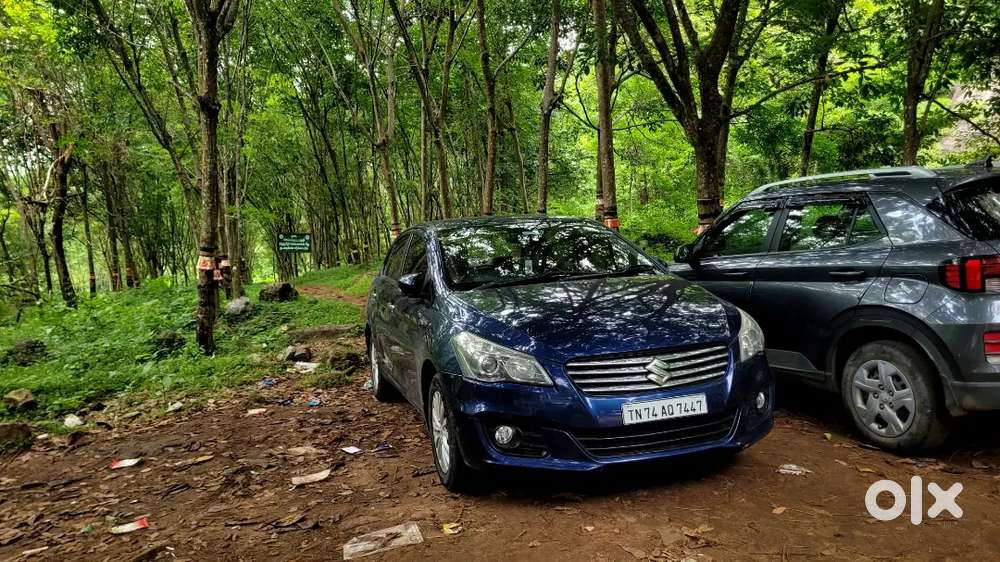 Maruti Suzuki Ciaz 2017 Diesel Well Maintained