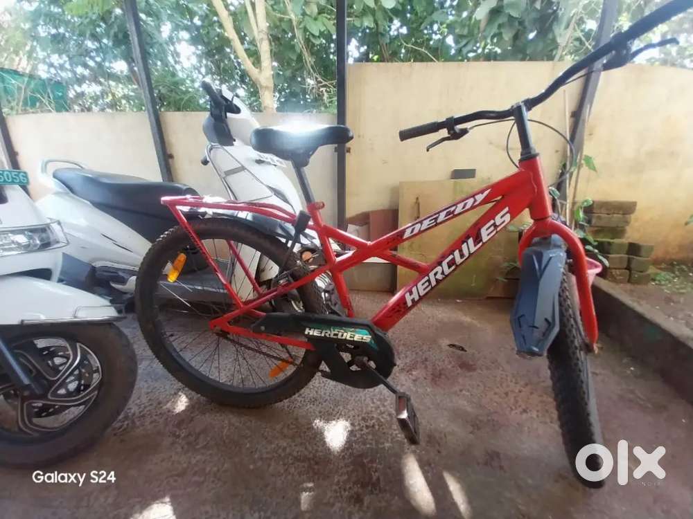 Hercules Bicycle