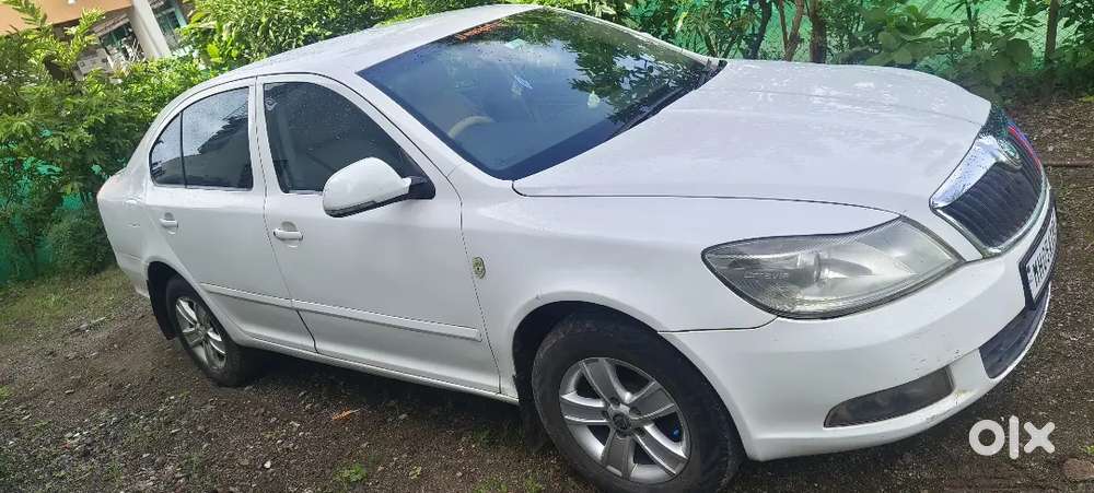 New Car Parches