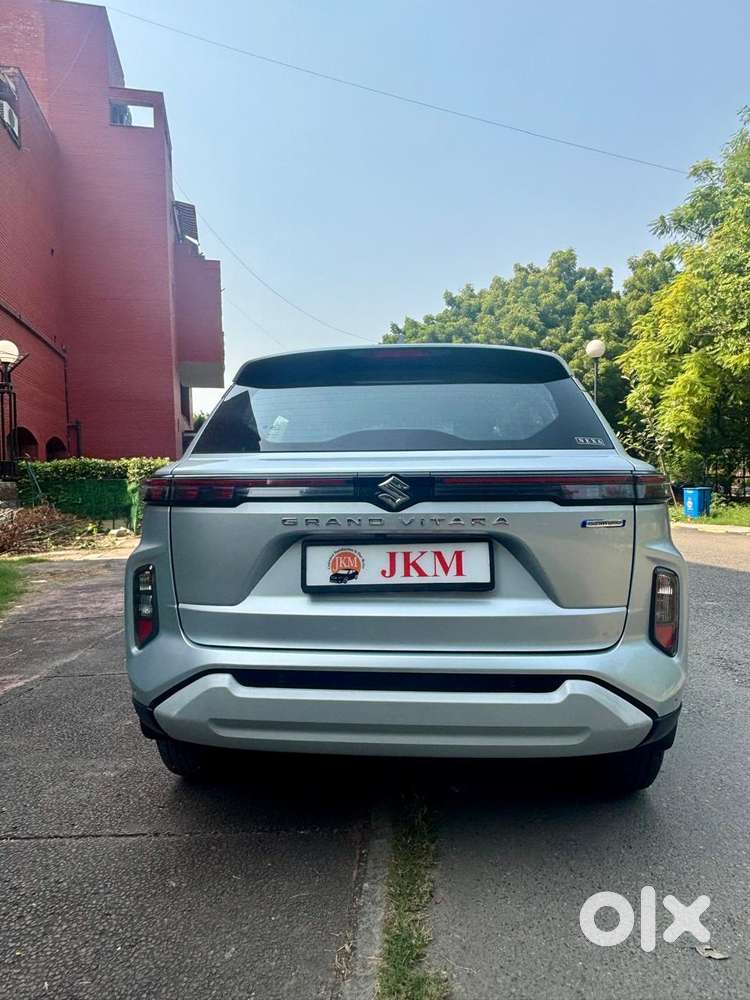 Maruti Suzuki Grand Vitara 1.5 Delta Smart Hybrid, 2024, Petrol