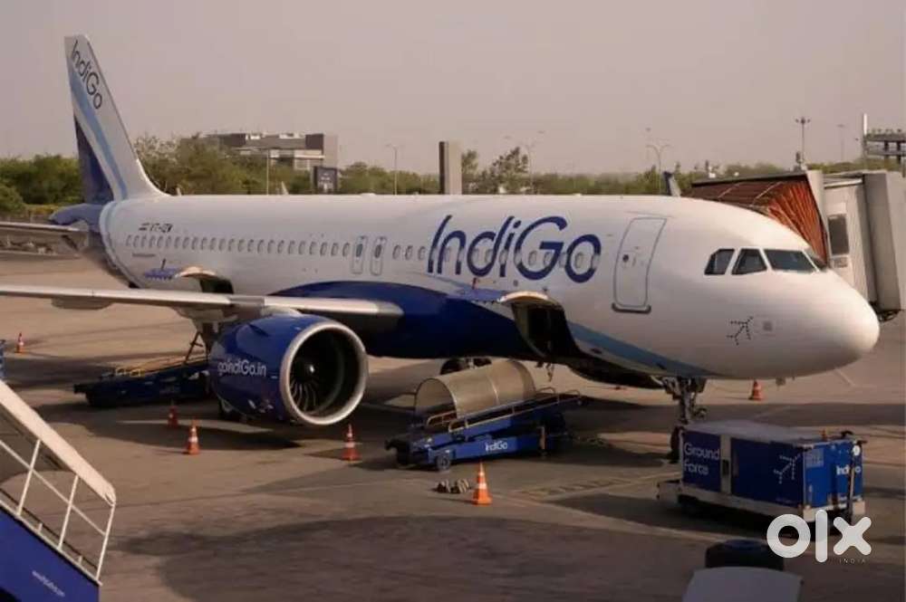 Cabin Crew/ AirCabin Crew/ Airport Ground Staff Jobs in Indigo Airport