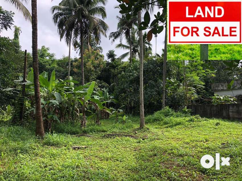 Excellent villa plot - Lands & Plots - 1759826869