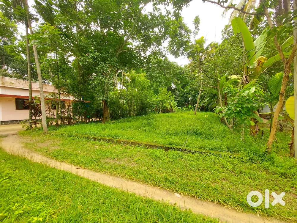 10 cent orginal land for sale in aluva paravur road thattampady Lands
