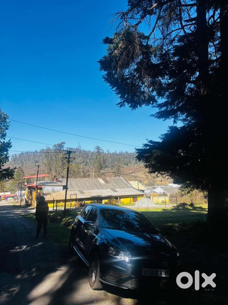 Volkswagen Polo 2020 Petrol Well Maintained