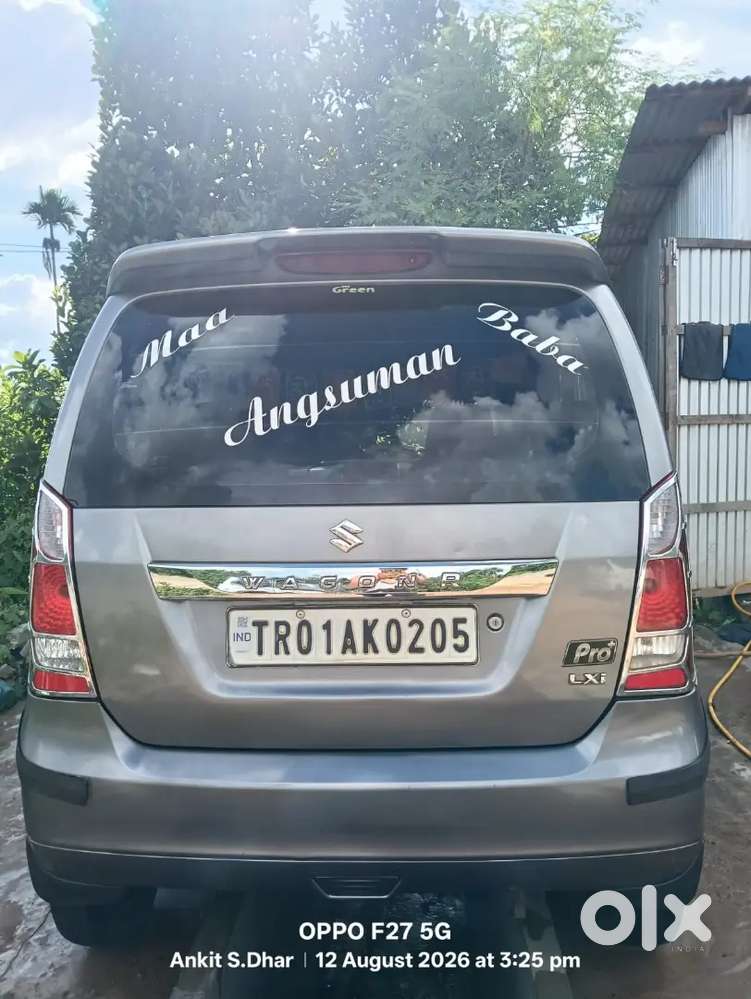 Maruti Suzuki Wagon R 2013 Lxi Cng