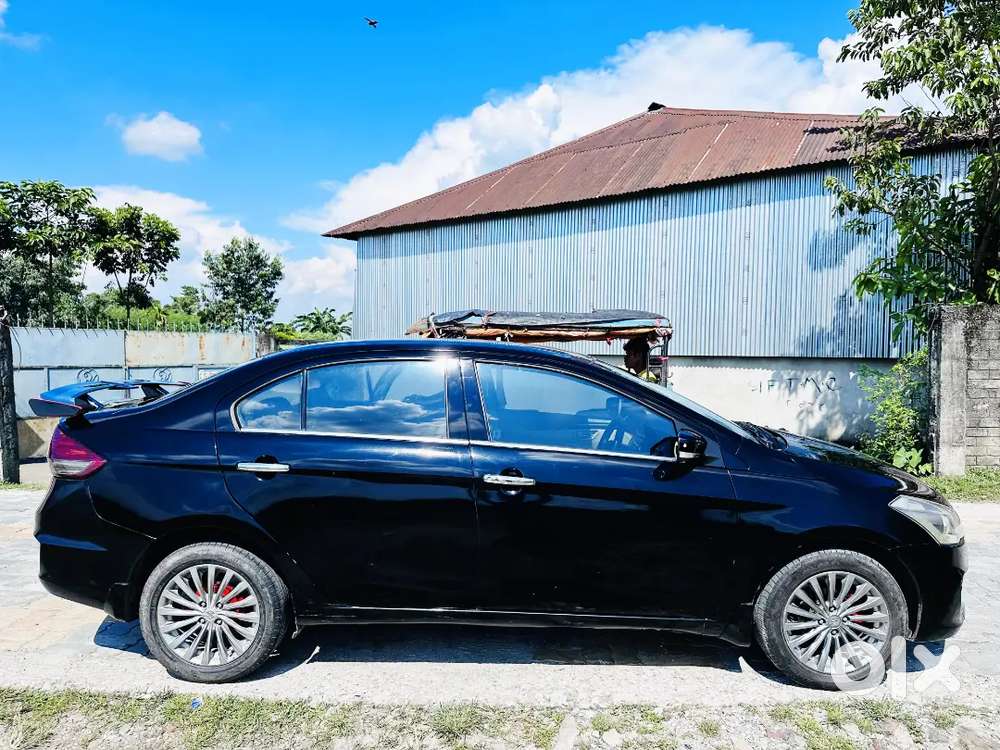 Maruti Suzuki Ciaz Zxi+ Top Model