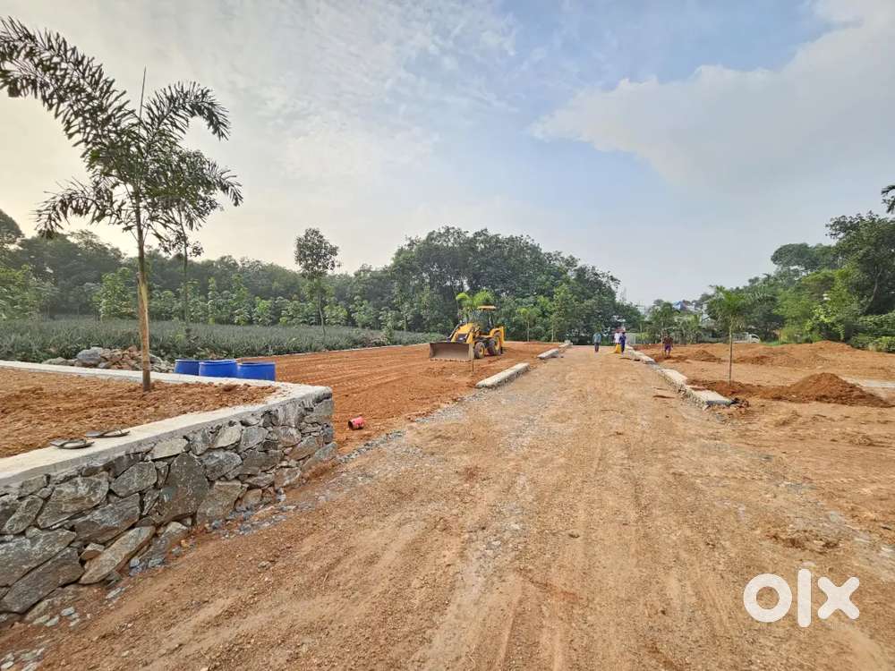 Land Plot For Sale Near Infopark Kochi For Just 13 5 Lakhs For 1 Plot