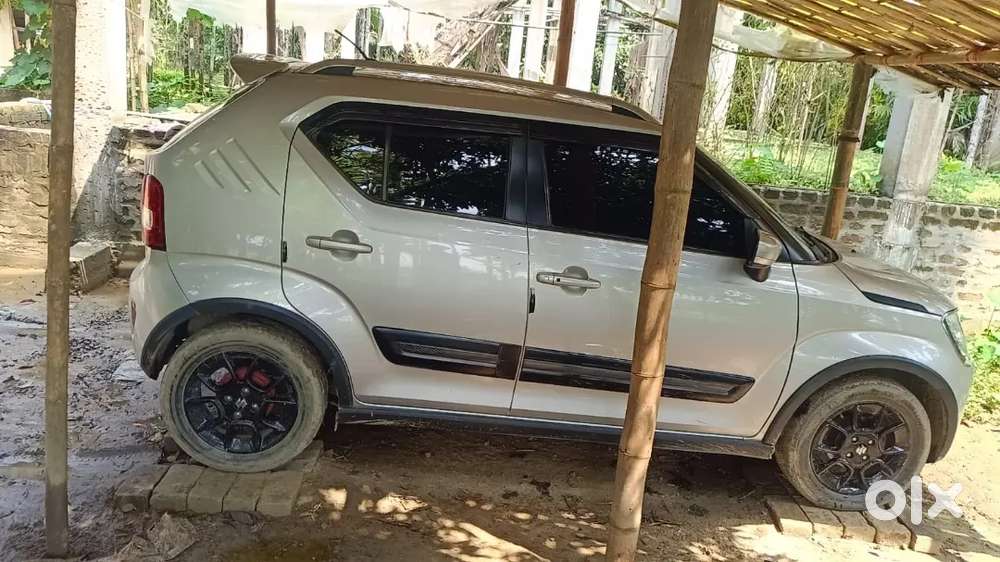 Maruti Suzuki Ignis 2023 Petrol 30000 Km Driven