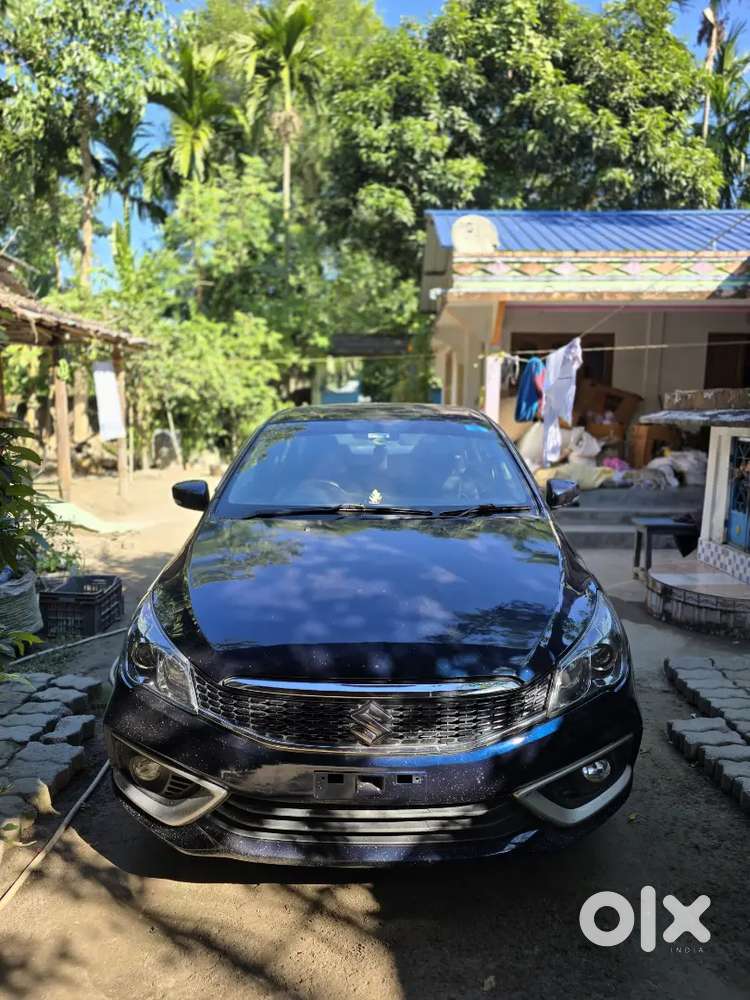 Rental Only
