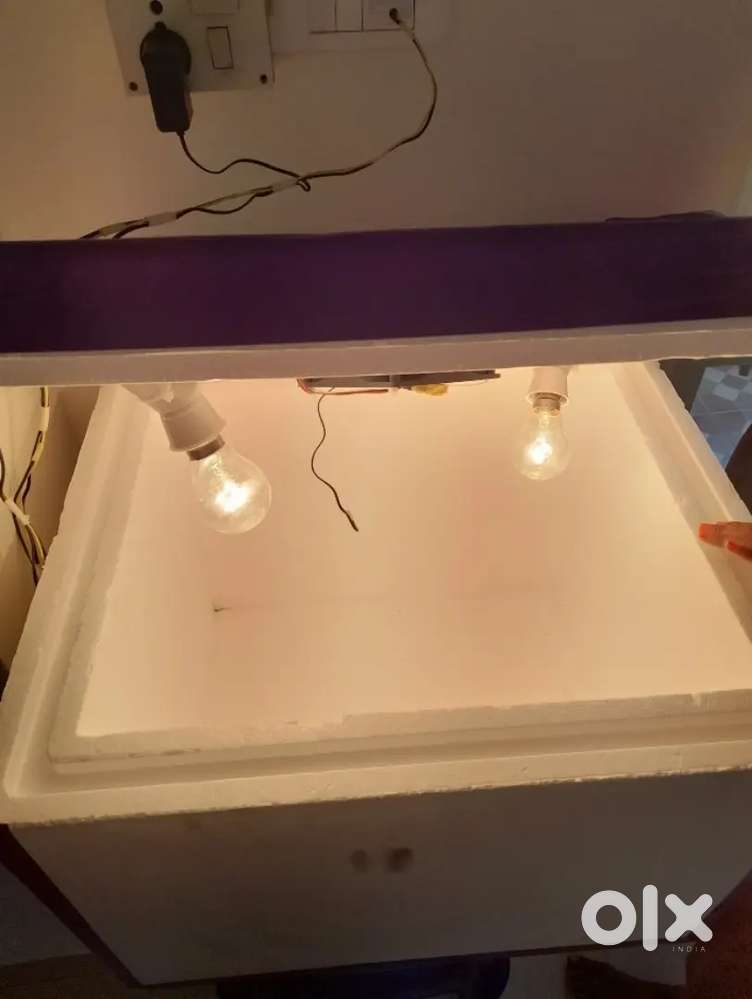 Semi automatic incubator