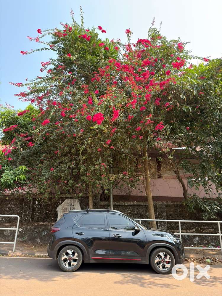 Kia Sonet Gtx Plus 2021 Diesel 82000 Km Driven