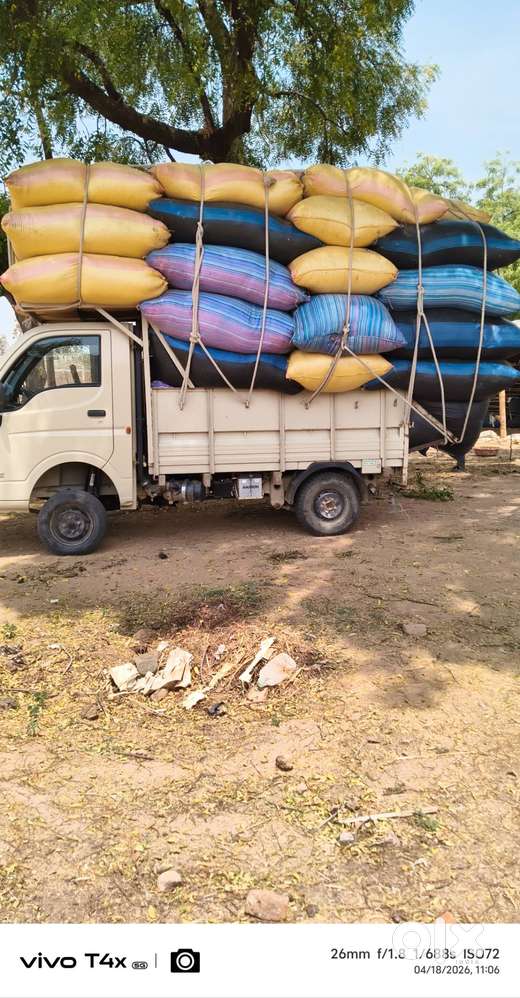 Brand Tata Model Ace Gold Petrol Age 2year