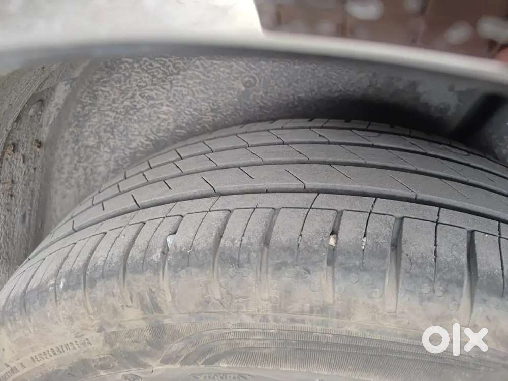 Mghector Select Pro 7 Sheter