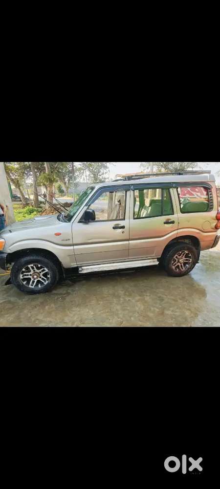 Extra Fitness January 2028 Tak