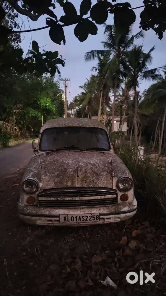 Ambassador Ambassador 1987