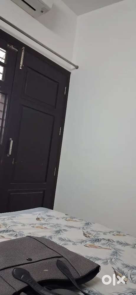 Wooden  doors