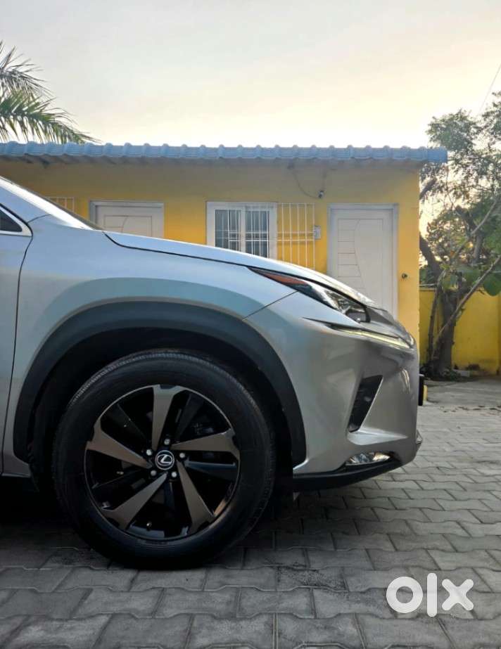 Lexus Nx Lexus-nx-300h-luxury, 2019, Petrol